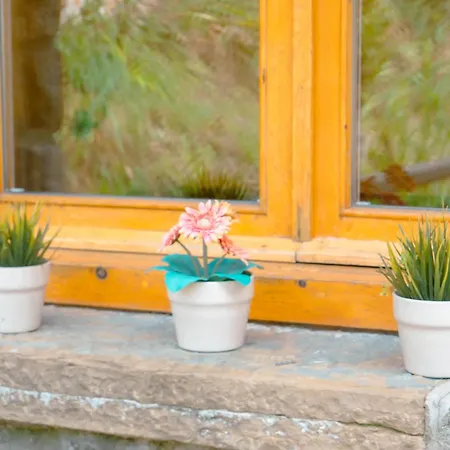 Els Del Bosc 公寓 里贝斯的弗里瑟