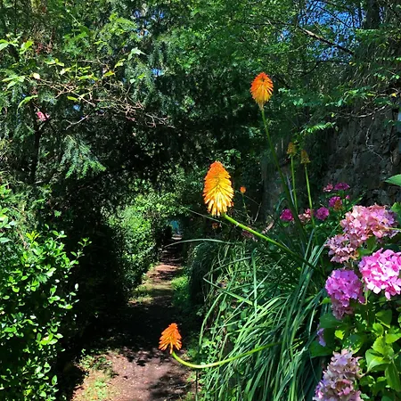 公寓 Els Del Bosc 里贝斯的弗里瑟